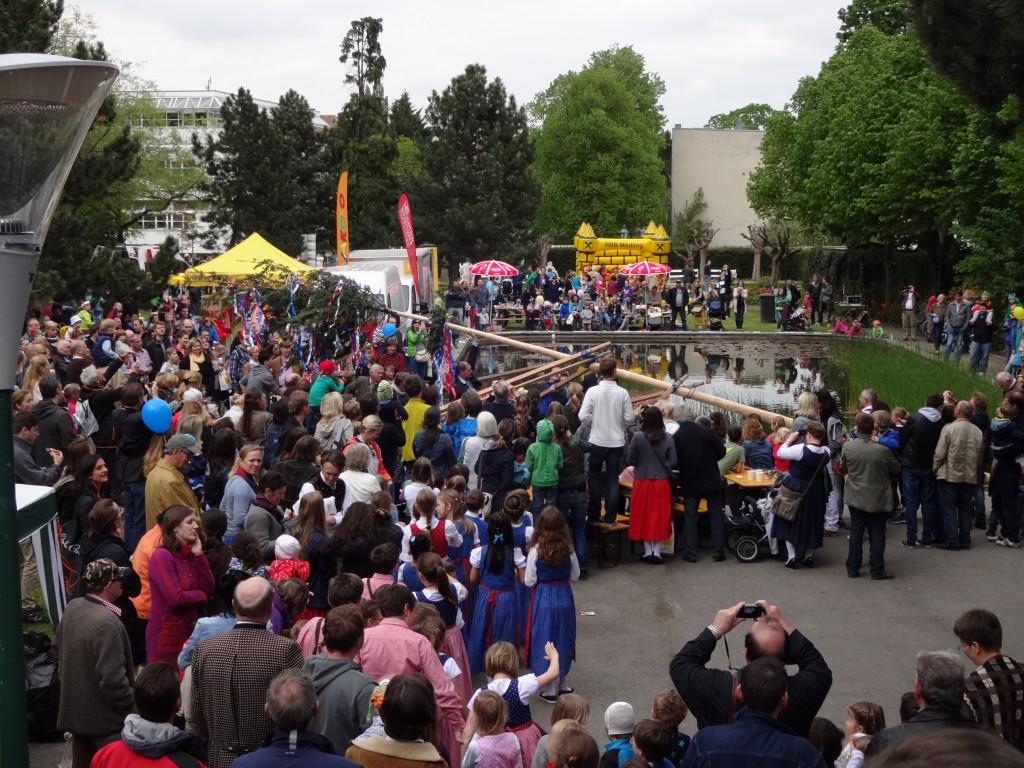 Maitanz2015b1